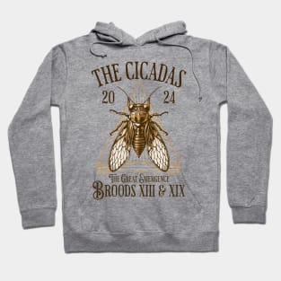 Cicadas 2024 - Brood XIX Brood XIII - Funny Cicada Lover Hoodie